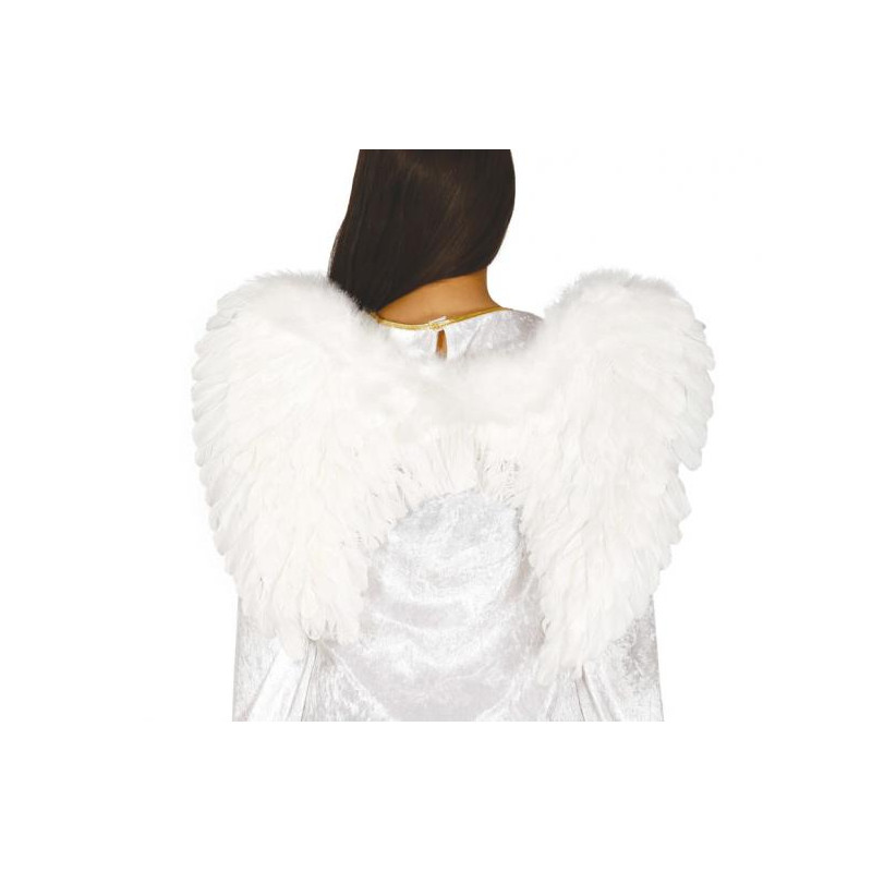 Křídla bílá, 60x45 cm